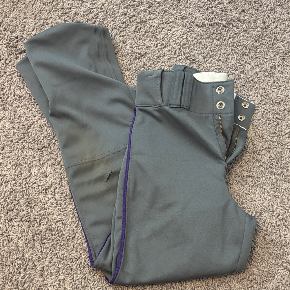 Gray Riding Pants with Purple Trim